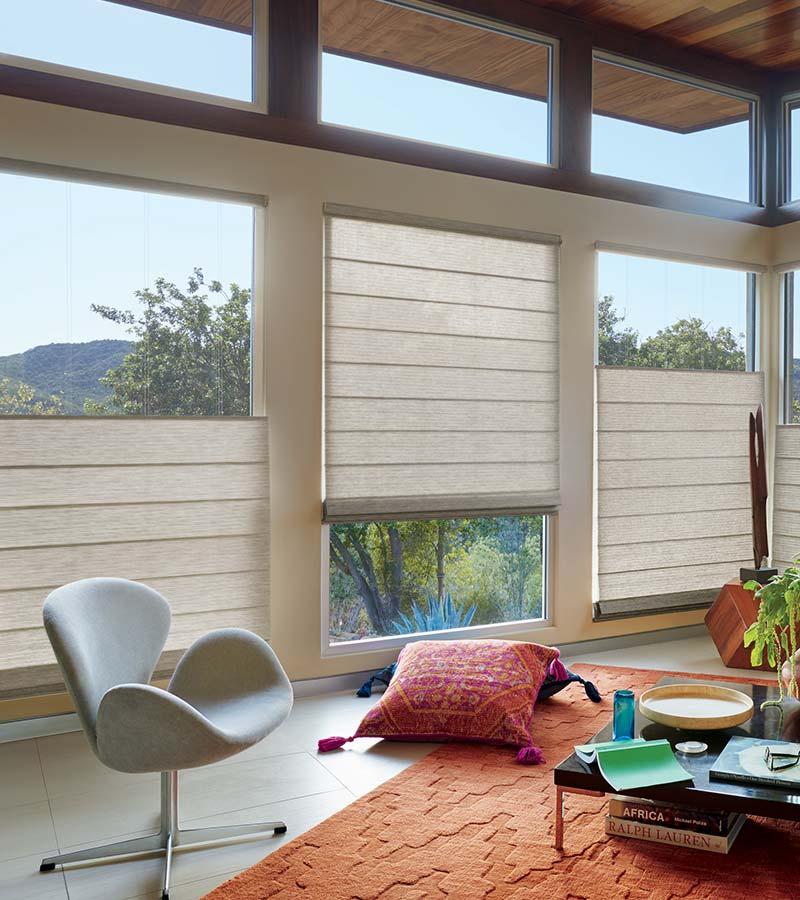 Top Down Bottom Up Shades In Denver Privacy Daylighting